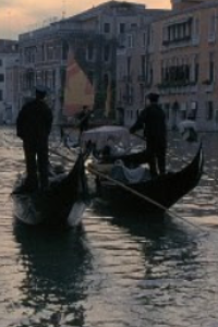 Wings of the Dove, The